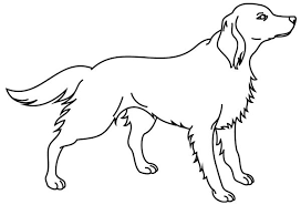 coloriage chien et des dessins animaux a colorier coloriages page 9 imprimer de poulet