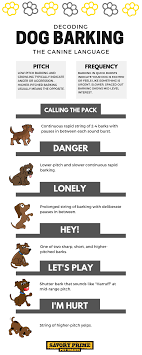 dog bark meaning google 검색 dog barking dog language doberman pinscher