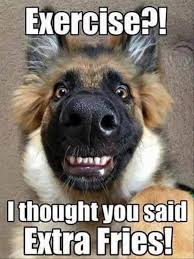 Funny Dog Memes Mycrazyemail Dogmemes Funny Animal Memes Animal Jokes Funny Animal Quotes