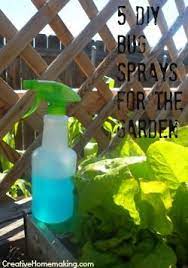 5 Diy Bug Sprays For The Garden Diy Bug Spray Homemade Bug Spray Garden Pests