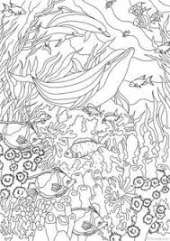 Pin On Zentangles Adult Colouring Coloring Pages