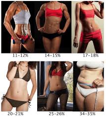 Your fat woman stock images are ready. How To Calculate Your Body Fat Percentage Cronometer