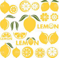 Vector Illustration Lemon Logo Design Lemon Logo Vector Illustration