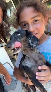 Joseph Quiles (@joseph_quiles) • Instagram photos and videos