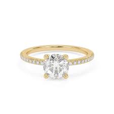 Image result for Pavetta rwandensis