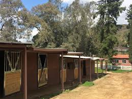 Profile for Golden Horse Ranch