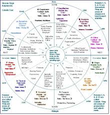 Chart Showing Signs Houses Etc Astrology Astrology