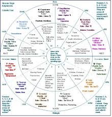 chart showing signs houses etc spirit y la luna