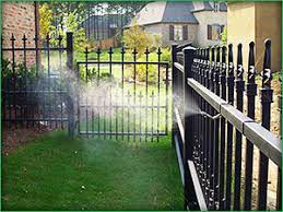 Preventive pest control offers pest control, termite inspection and bed bug exterminator services in houston, the woodlands, spring tx and more. Pest Control Houston Tx
