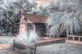 Myakka river state park is open. Myakka River State Park Cabin Photograph By Jane Linders