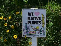 Check spelling or type a new query. Where To Buy Eugenia Chapter Florida Native Plant Society