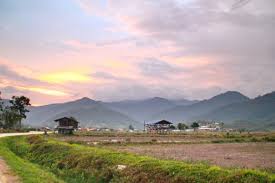 After booking, all of the property's details, including telephone and address, are provided in your booking confirmation and. Bario Wikipedia