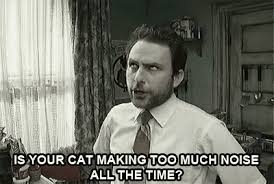 Bird Law Always Sunny Gif Https Encrypted Tbn0 Gstatic Com Images Q Tbn 3aand9gcqj6iw Sq0 Gisz1amh5cso3lqctgy Fzf0zw Usqp Cau