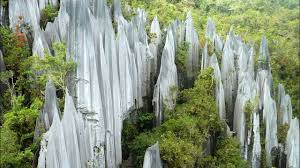 It has 295 km of explored caves which houses millions of bats and swiftlets. Gunung Mulu National Park Pinnacles Youtube