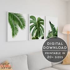18 free leaf pattern templates to print and use as stencils or coloring pages. Set Of 3 Prints Palm Leaf Printable Living Room Wall Art Decor Tropical Leaves Art Print Tropical Print Leaves Poster Leaf Wall Art Prints Art Collectibles Vadel Com