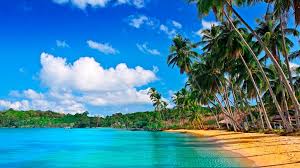 These images are free for windows 10 themes and are to be used as desktop wallpaper only. Tropical Beach Theme For Windows 10