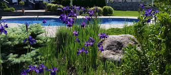 See more ideas about pool, pool landscaping, pool designs. 10 Gorgeous Landscaping Ideas For Pool Areas State Of The Art Landscape