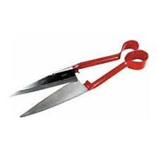 English Type Shears Agri Pro Scissors Shears Supplies Showing Grooming Farm Grooming Shears Scissors