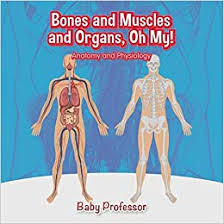 Support and protect your spine; Bones And Muscles And Organs Oh My Anatomy And Physiology Professor Baby 9781541902787 Amazon Com Books