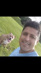 Sono Training & Dog Walks