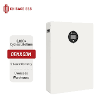Home Backup Power Supply 51.2V 200ah Solar System LiFePO4 Battery Household  Wall Mounted Type Lithium Battery