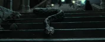 When harry found out about the part of voldemort's soul living inside him, he was very willing to die. Your Pet Means The Absolute World To You Harry Potter Facts Nagini Harry Potter Potter Facts