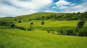 Free grass field png, download free clip art, free clip art on., grassy field png 2 » png image, field png pic | png mart. Download Wallpaper 1600x900 Grass Field Sky Summer Widescreen 16 9 Hd Background