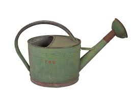 Check spelling or type a new query. Antique French Watering Can