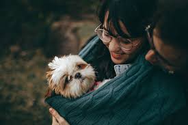 It can also help to repair and restore your pet's skin coat to make it look much. Let S Talk About 3 Outstanding Benefits Of Krill Oil For Your Dog S Diet Volhard Dog Nutrition