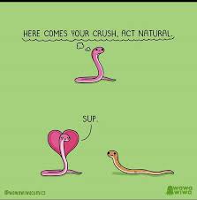 Wholesome_memes › crush memes & gifs. The Best Way To Act Natural Is To Just Be Yourself R Wholesomememes Wholesome Memes Know Your Meme