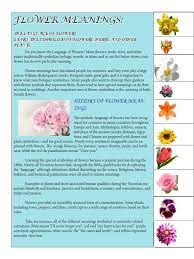 The zinnia plant is the perfect flower to send to a bereaved friend or family member as it means never forget absent friends. Flower Language Flower Bouquet Gardening