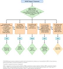 Pathway dm free download as word doc doc docx pdf file pdf text file txt or view presentation slides online. 2021 Update To The 2017 Acc Expert Consensus Decision Pathway For Optimization Of Heart Failure Treatment Answers To 10 Pivotal Issues About Heart Failure With Reduced Ejection Fraction A Report Of The