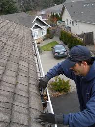 Services - Gutter Cleaning Services in Offered by Gum Fighters Pressure  Washing Canada | ID - 1106127