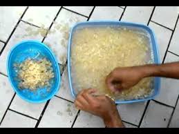 1 kg kacang soya 3 helai daun pandan 1 sudu teh garam 9 liter air bahan air gula: Panduan Membuat Air Soya Taufufah Youtube