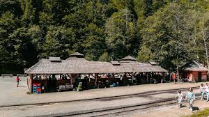 (.) citește toată descrierea unității expand_more restrânge textul expand_less. Mocanita Viseu De Sus Pret