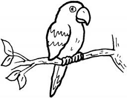 Dibujo Loro Para Colorear