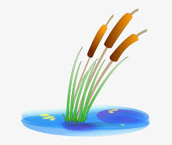 We did not find results for: Water Plants Reed Cartoon Duck Free Plant Pond Cattail Clipart Transparent Png 640x611 Free Download On Nicepng