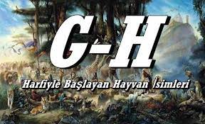 g h harfiyle hayvanlar hangileridir g h harfiyle baslayan hayvan isimleri nelerdir g h harfiyle hayvan hayvanlar egitim