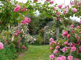 Check spelling or type a new query. Gardens Wallpaper New Ideas English Rose Garden Top 7 Awesome Desktop Background