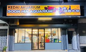 pətalɪŋ dʒaja), commonly called pj by the locals, is a city in petaling district, in the state of selangor, malaysia. Soon Hin Aquarium Home Facebook
