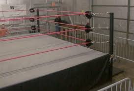 To Own A Professional Wrestling Ring Gorgeous Ladies Of Wrestling Film Pulp Fiction Professional Wrestling