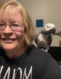 How do you tell how old RingNeck Dove is. Here is a picture of my RingNeck  Dove and don't know how old he is . Plus I only had him since November