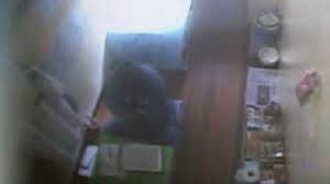 Cho doo soon had 18 previous convictions when he committed the sexual assault. Vq5ilaussauilm