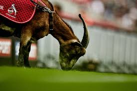 In der schlussphase überschlagen sich die ereignisse. Effzeh Gifs Get The Best Gif On Gifer