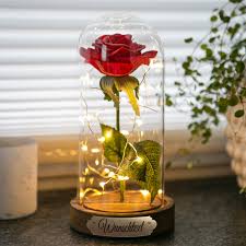 Das perfekte geschenk für jeden anlass. Ewige Rose Im Glas Mit Personalisierung