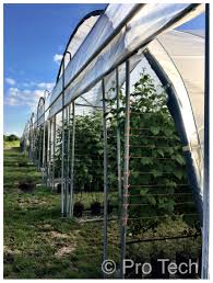 Bird Netting For Garden Uk Raspberries Polytunnels Www Pro Tech Marketing Co Uk Winding Up Doors With Weather Resistant G Raised Bed Garden Design Growing Succulents Growing Raspberries
