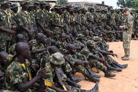 Image result wey dey for 12 soldiers killed as gunmen attack Kaduna village