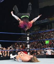 swanton bomb the hardy boyz jeff hardy jeff hardy willow