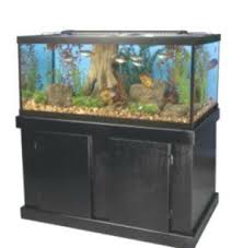 Marineland Majesty Aquarium Stand Ensemble 75 Gallon 212 50 Petsmart With Ins 2020