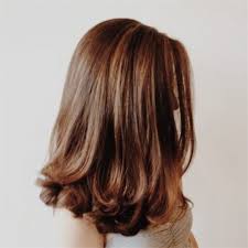 Perfect Bouncy Haircut Brunette Thick Hair Styles Medium Hair Styles Hairstyle